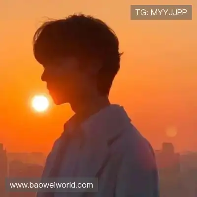 沈辉